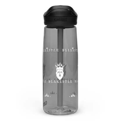 Sports water bottle